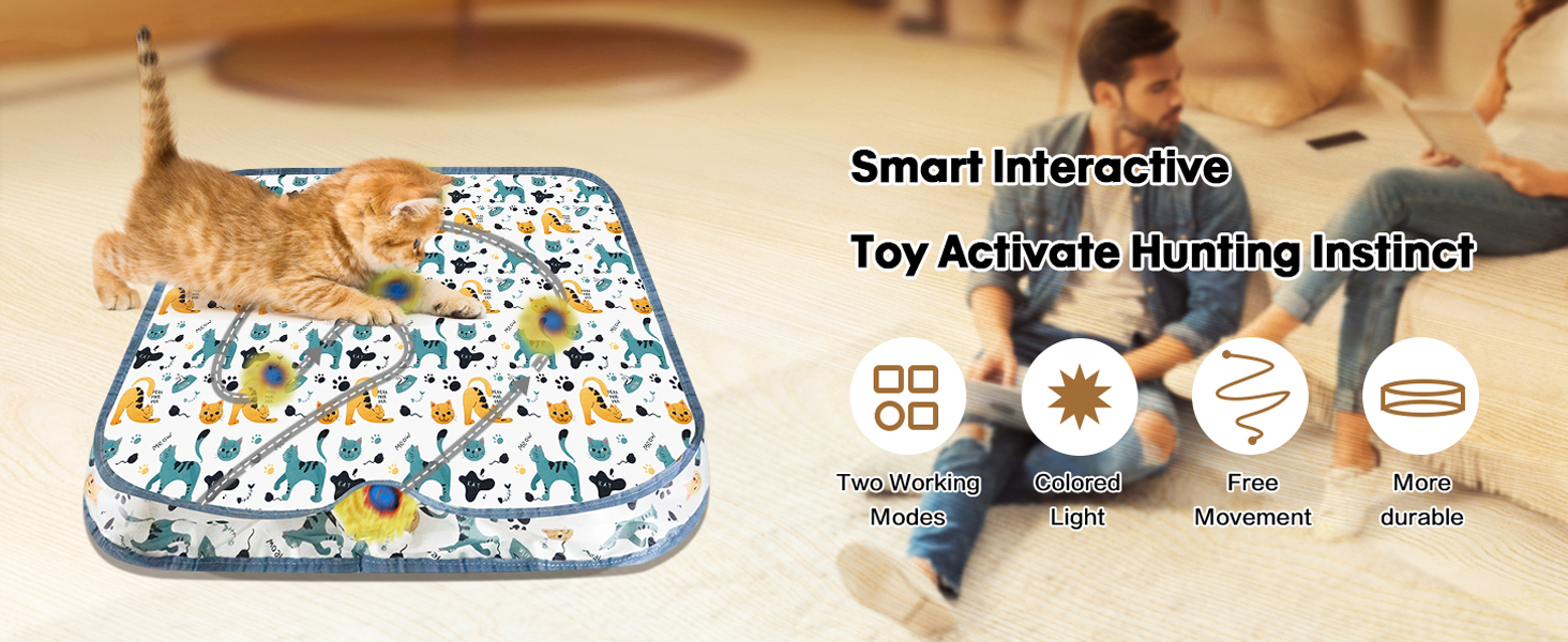 cat toy