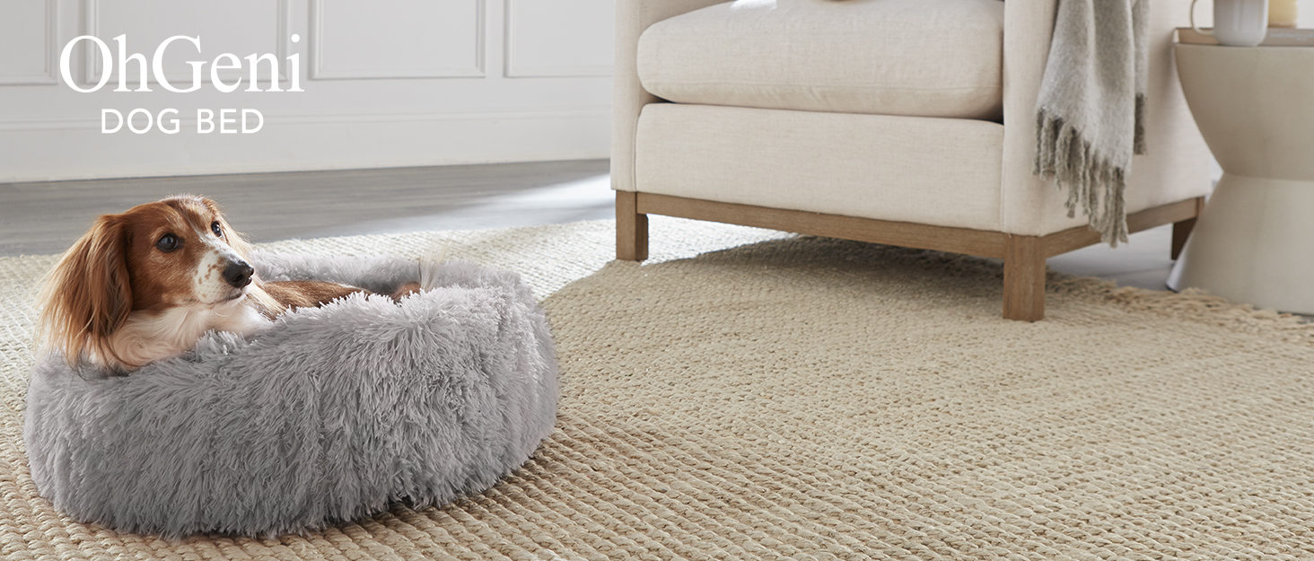 dog bed