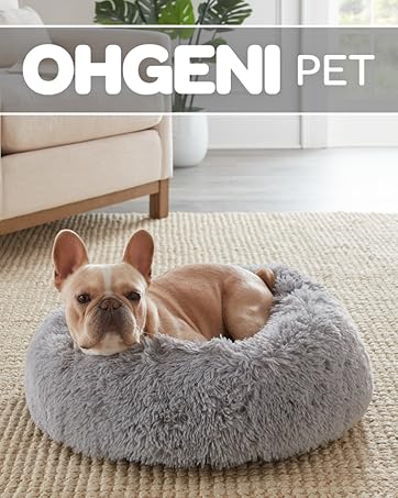 dog bed