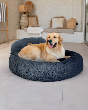 Calming Dog Beds