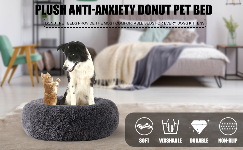 cat bed