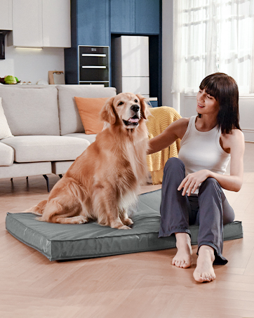 Orthopedic Egg Foam Pet Bed
