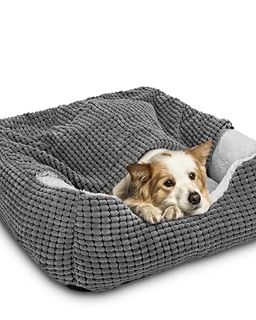 dogbed