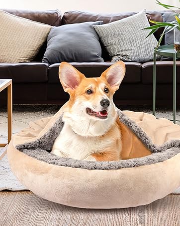 dog bed