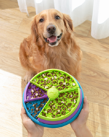 Slow Feeder Dog Bowls