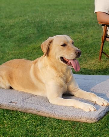 indoor dog bed 