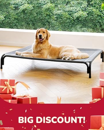 dog bed