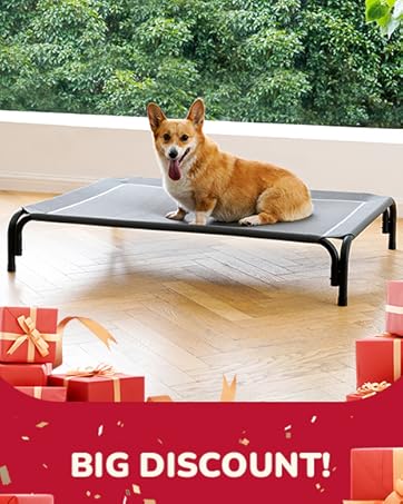 dog bed