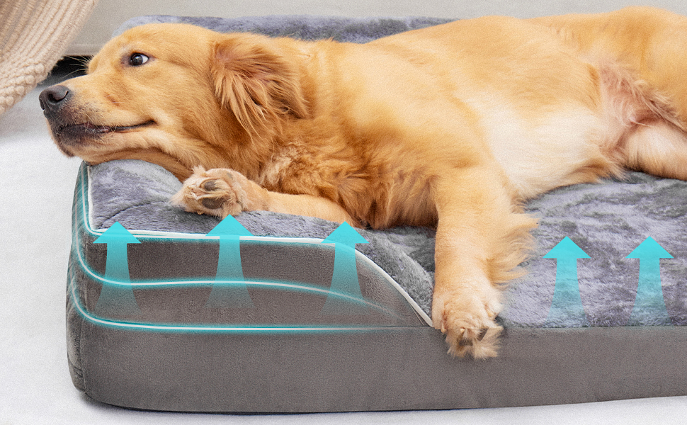 dog sofa bed，frenchie dog accessories