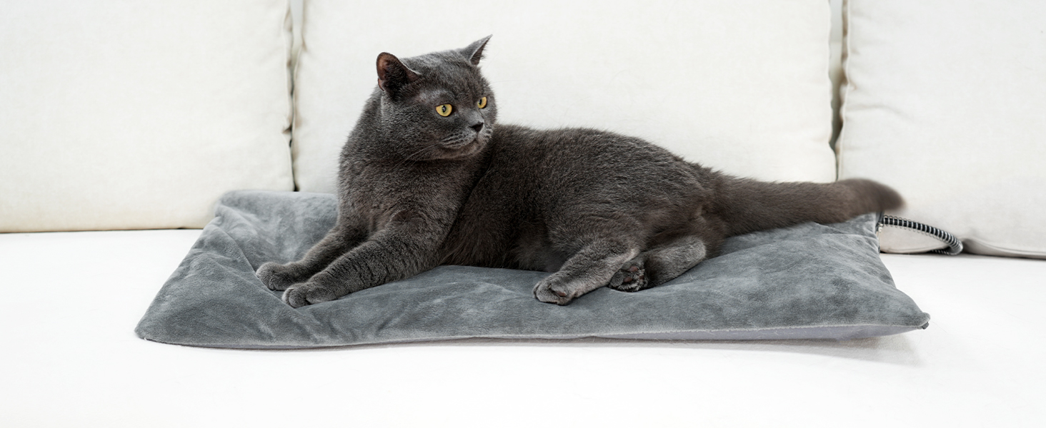 On Sofa