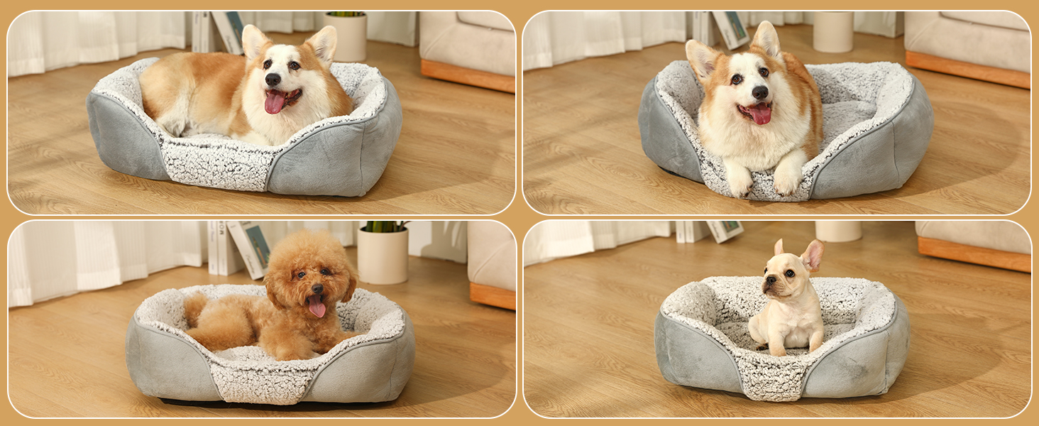 dog bed