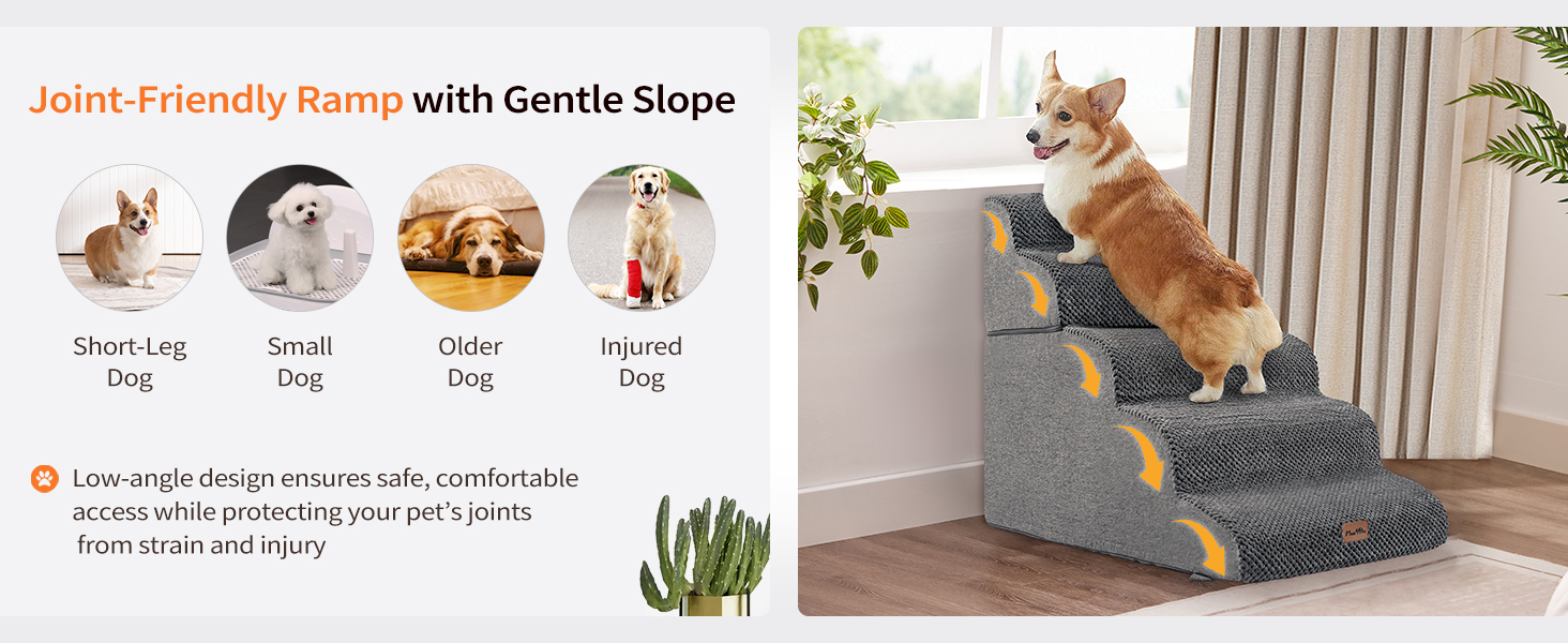 Joint-Friendly Ramp with Gentle Slope