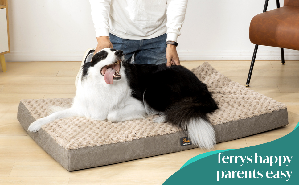Waterproof dog bed is easy to care