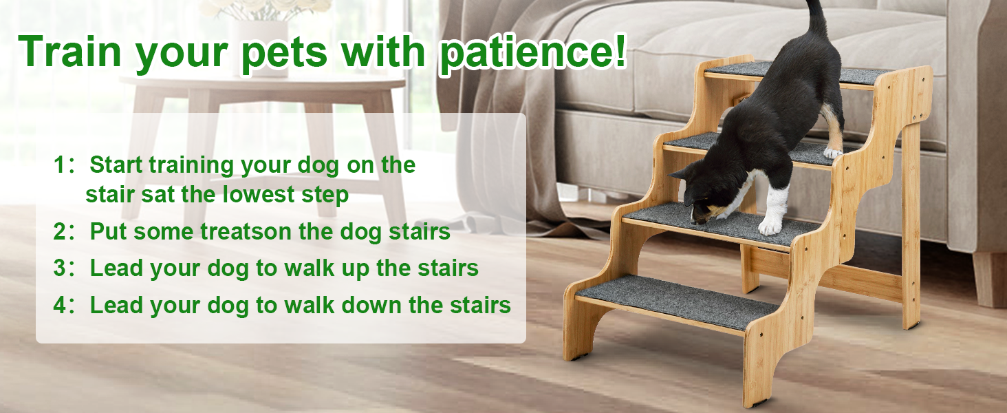 dog stairs