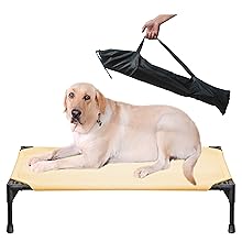 pet bed