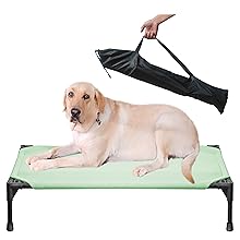 outdoor dog bed