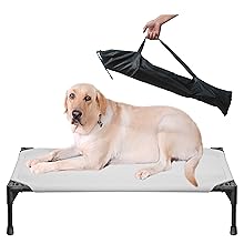 dog bed clearance