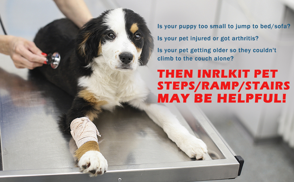 dog ramps for high beds