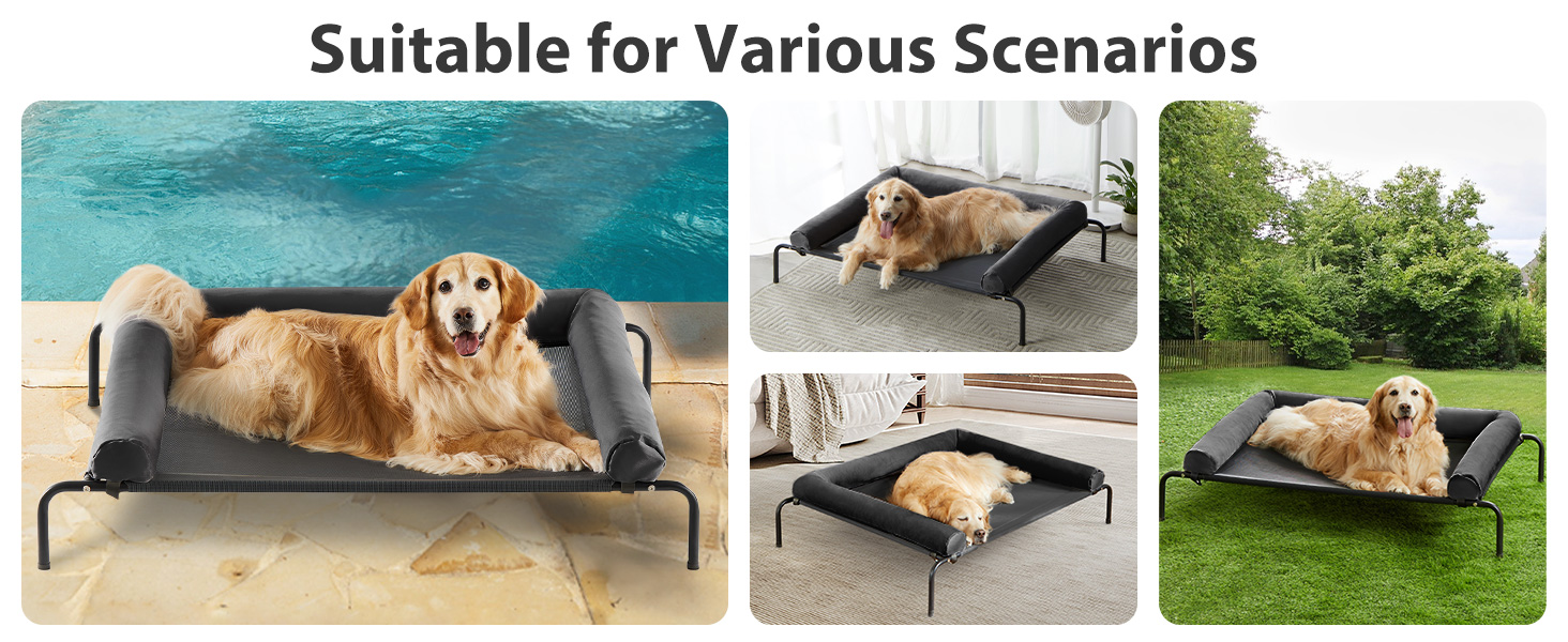 dog bed