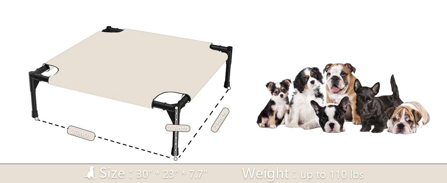 Dog Bed
