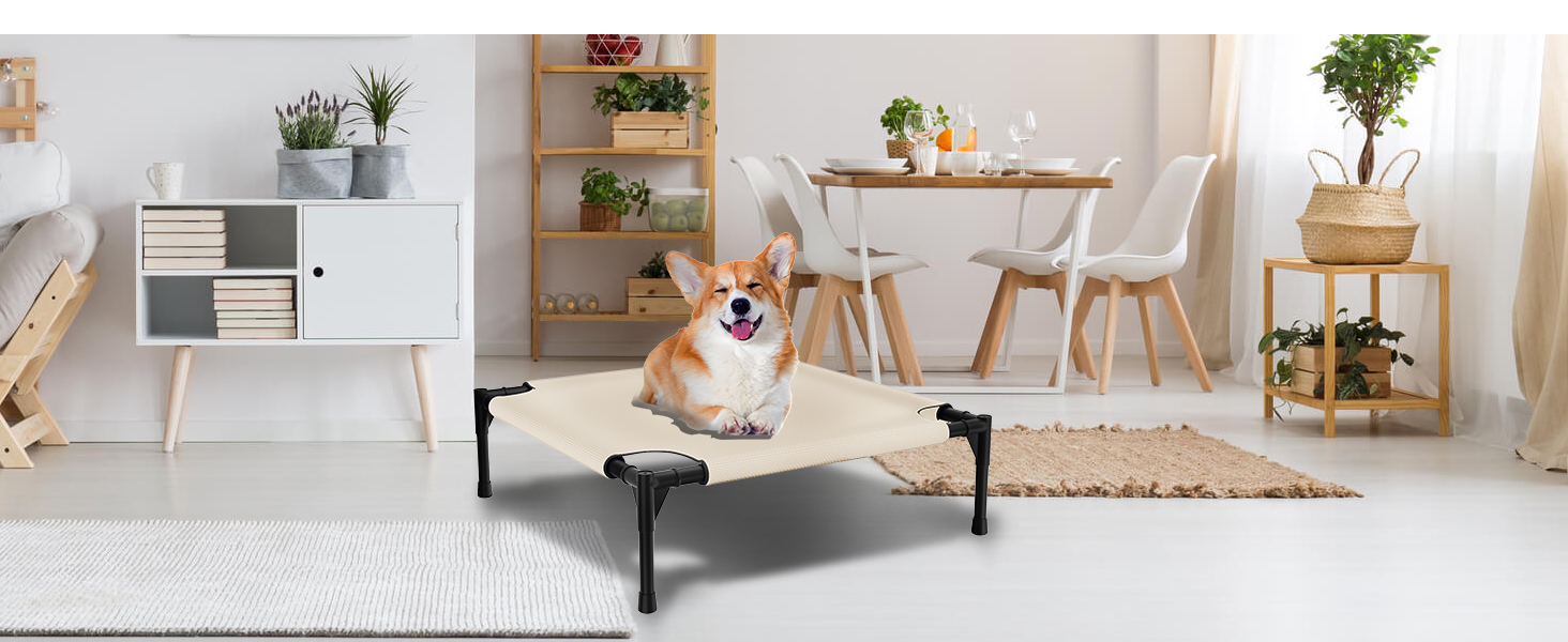 Dog Bed