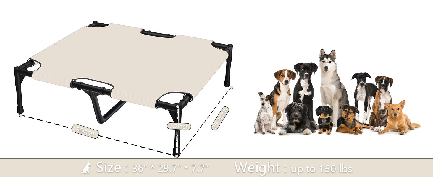 Dog Bed