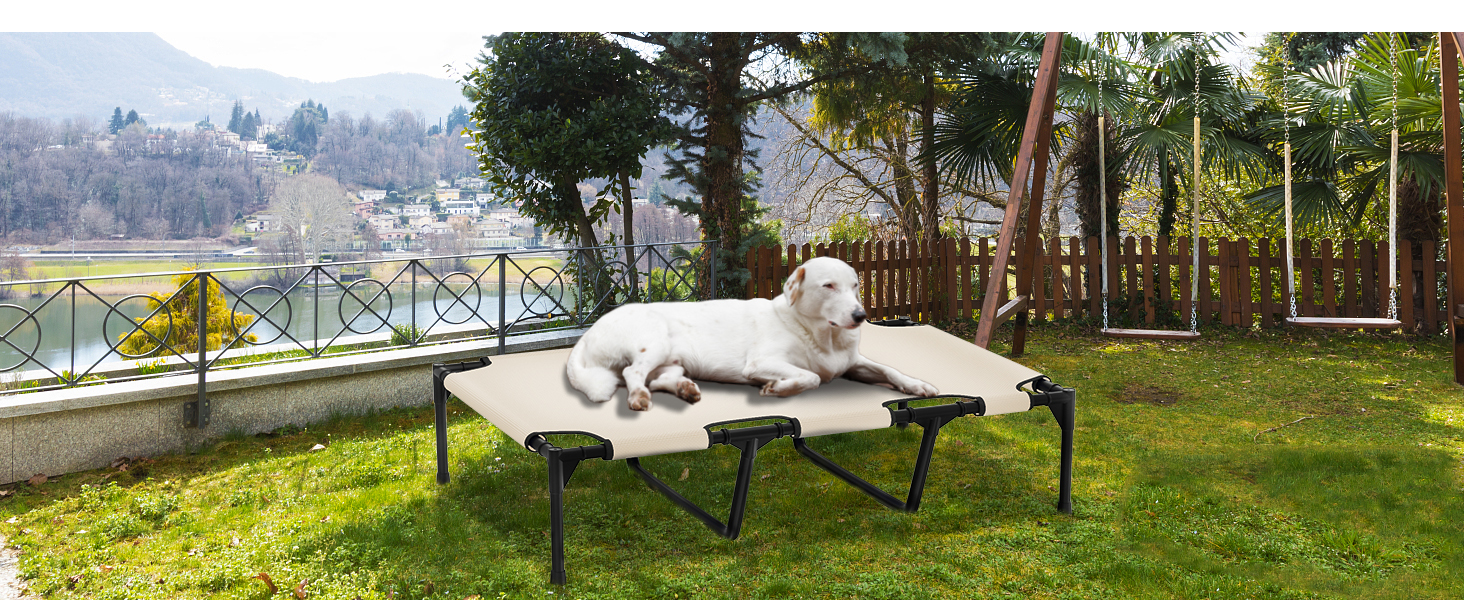 Dog Bed