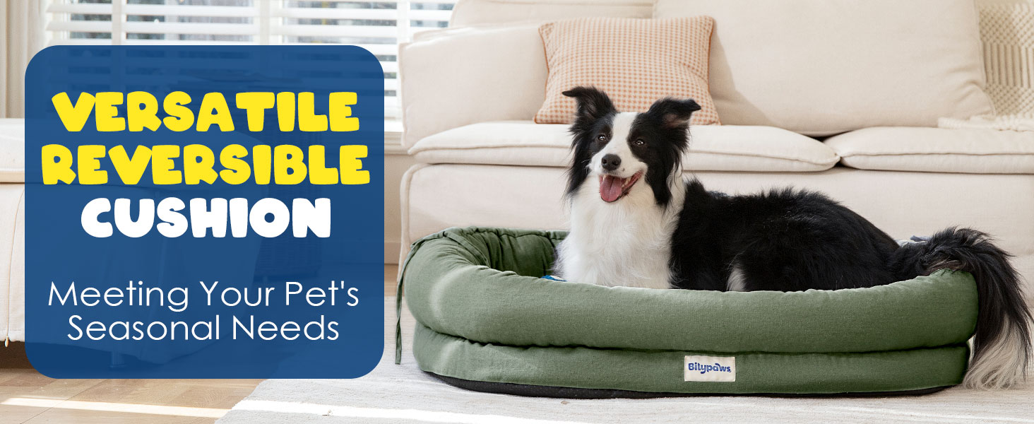 Versatile Reversible Cushion