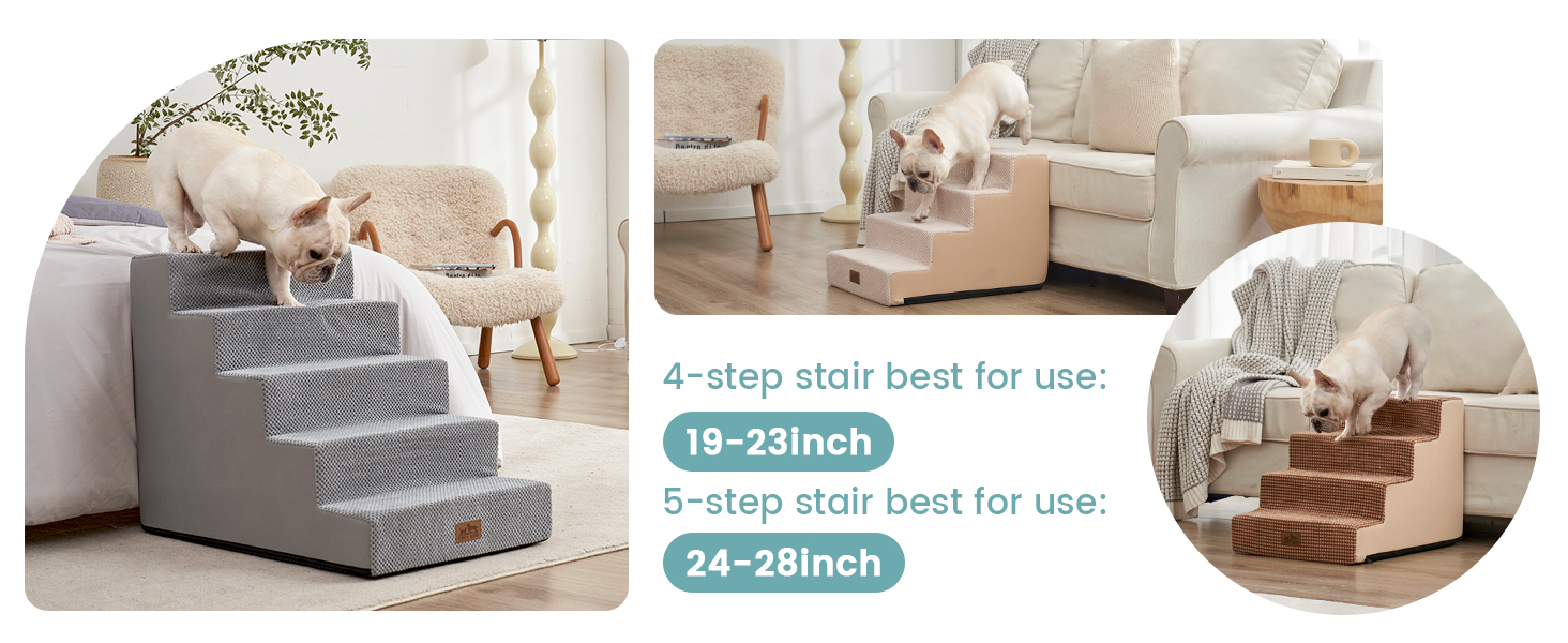 dog stairs