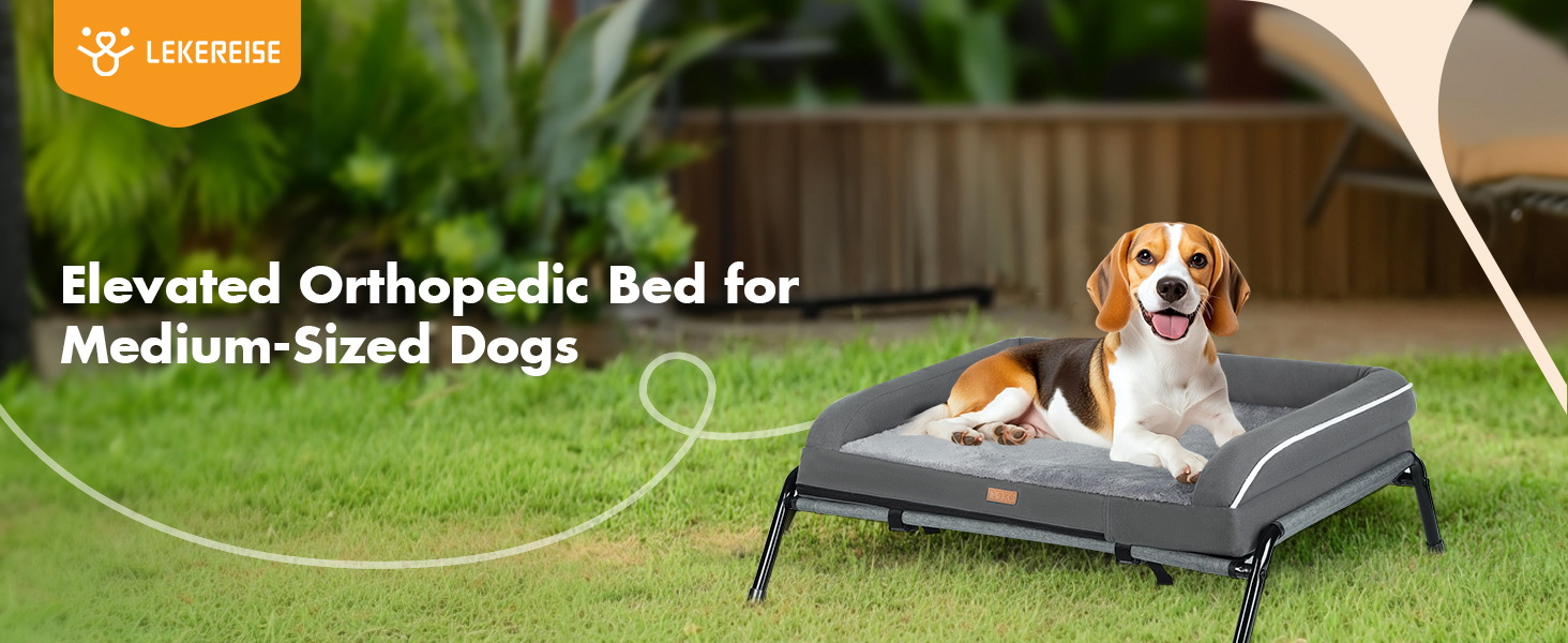 Dog Bed