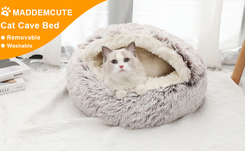 cat bed