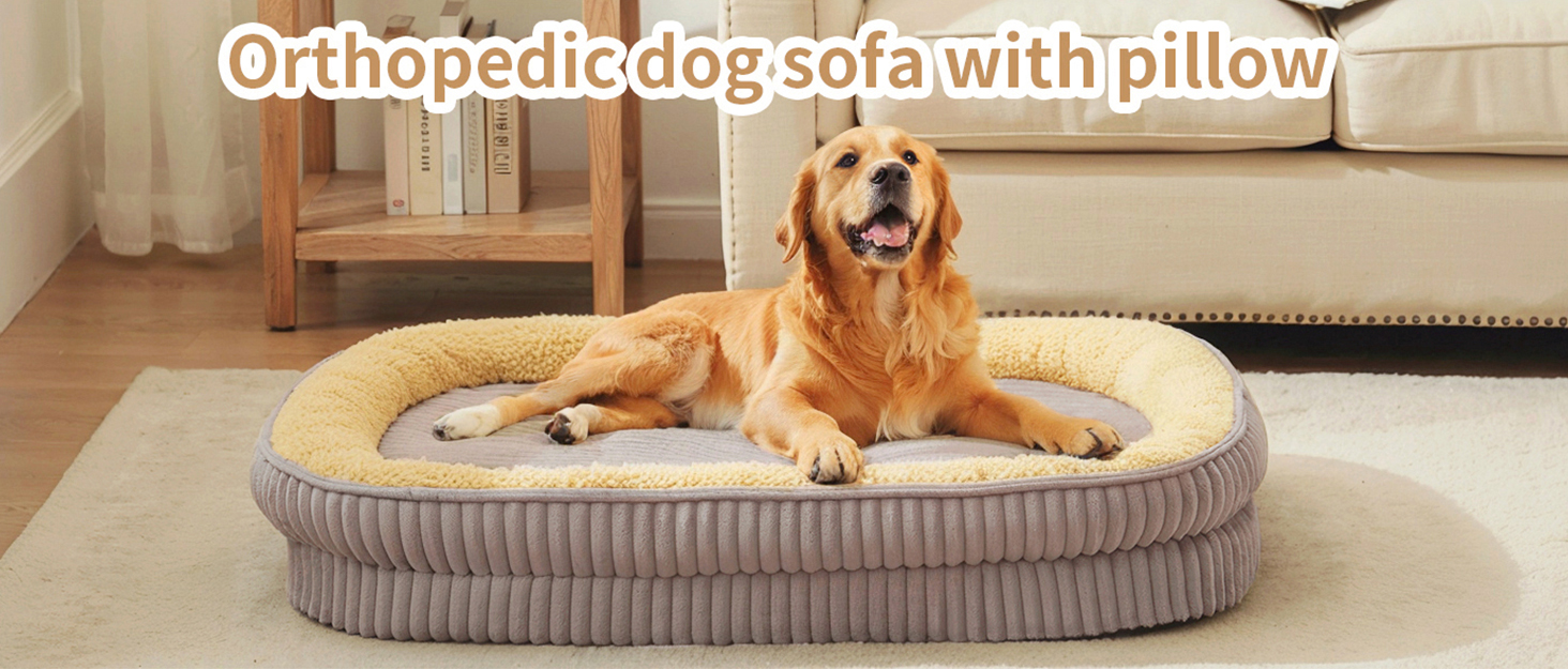 dog bed