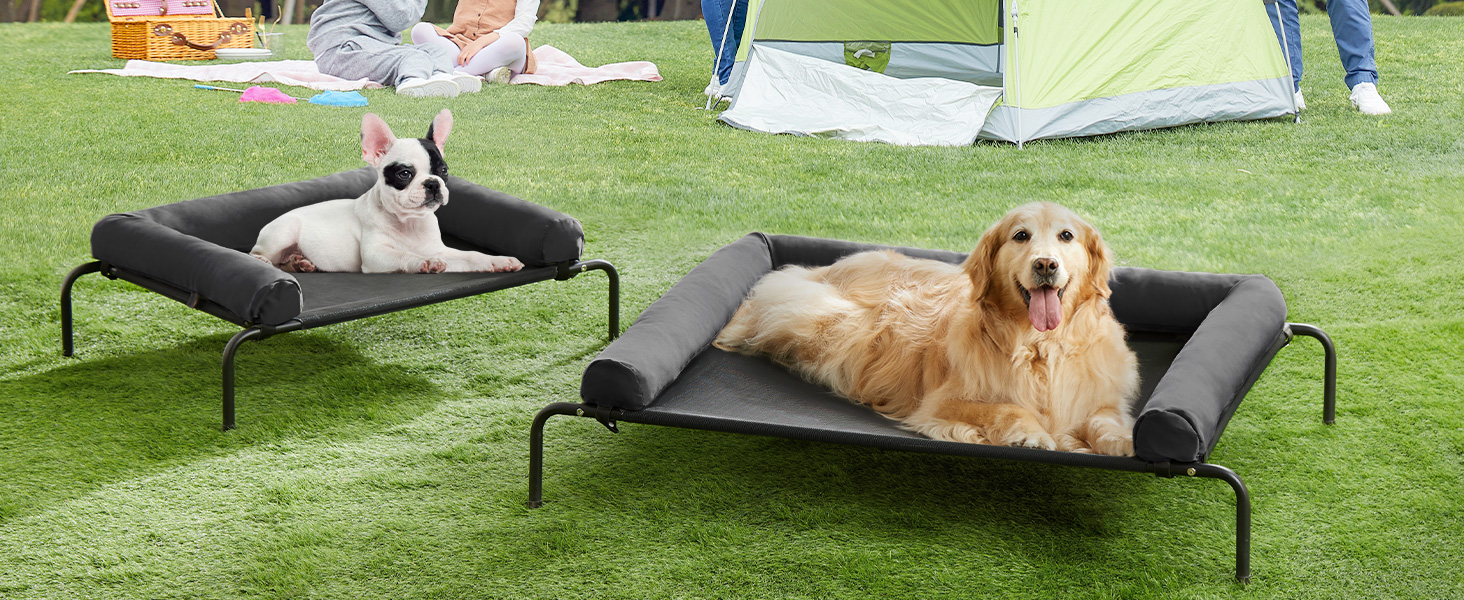 Dog Bed