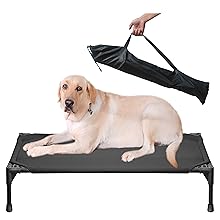 dog cot