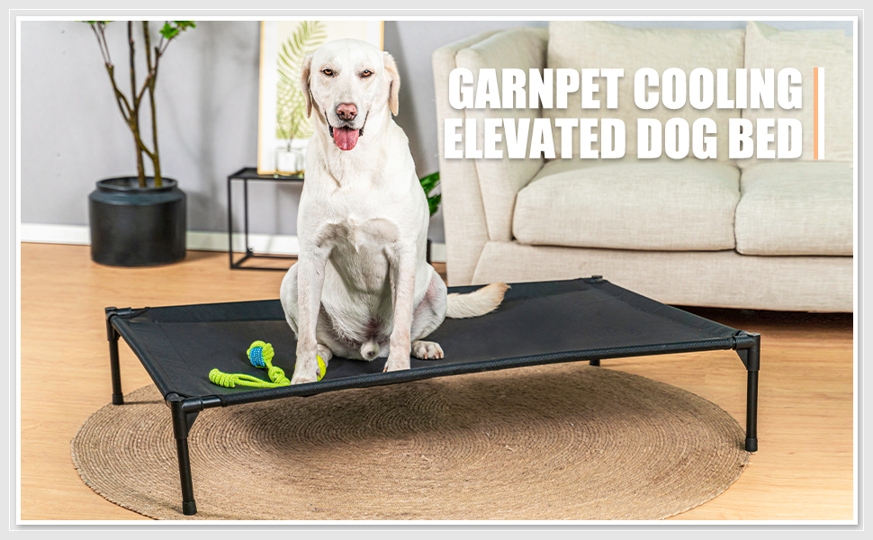 Garnpet Elevated dog bed