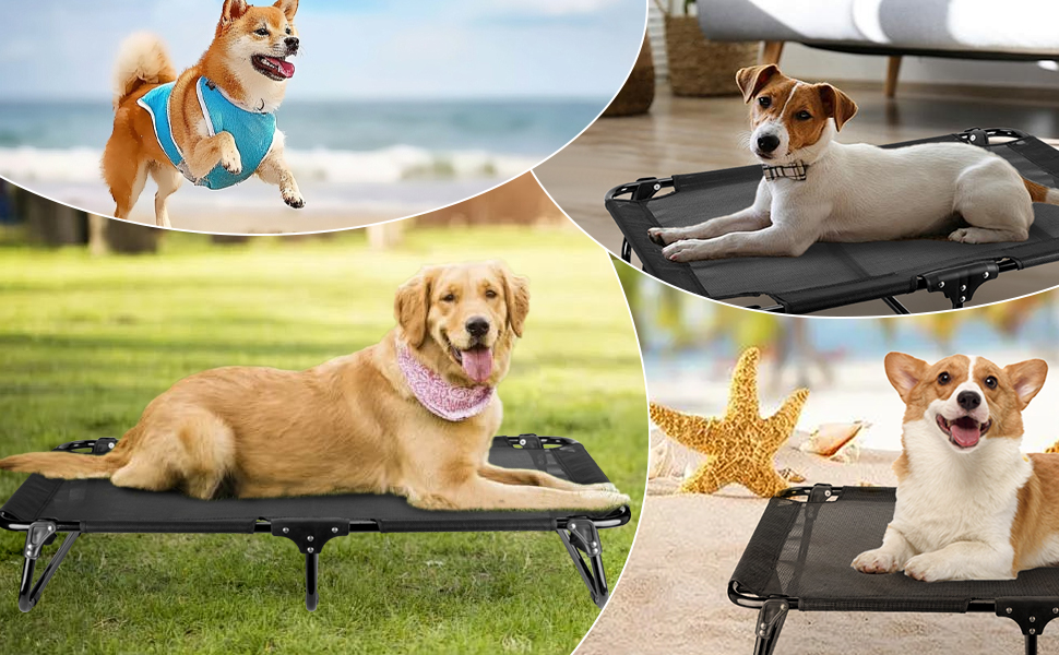 For indoors and outdoors