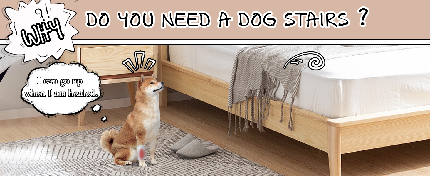pet steps