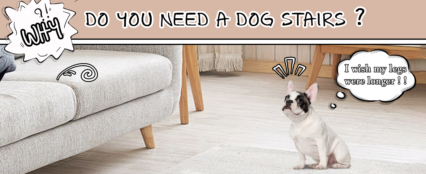 dog steps
