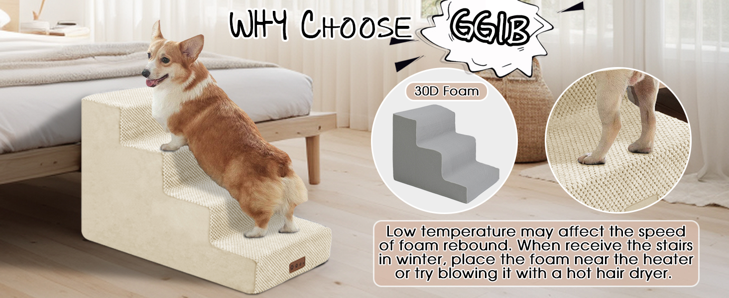 pet stairs for small dogs