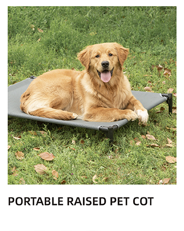 dog bed