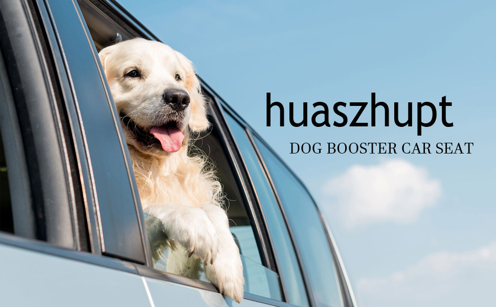dog car seat