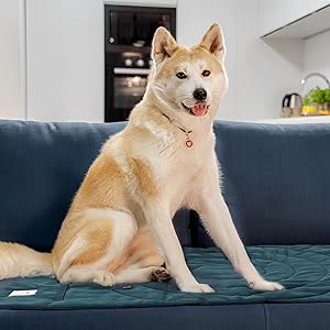 狗垫