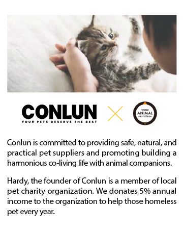 Conlun
