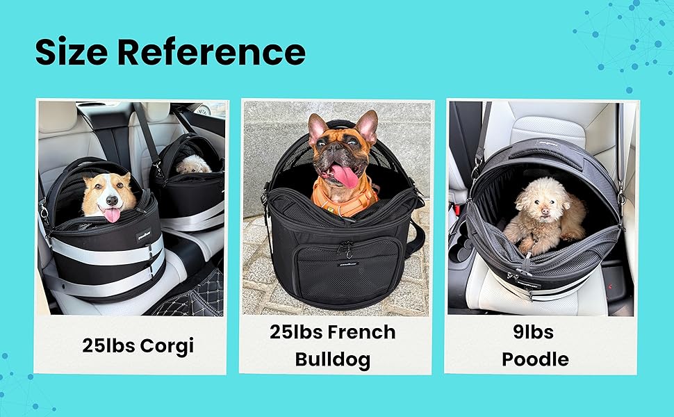 dog car seat for back seat dachshund car seat  frenchie car seat  dog bed for car front seat