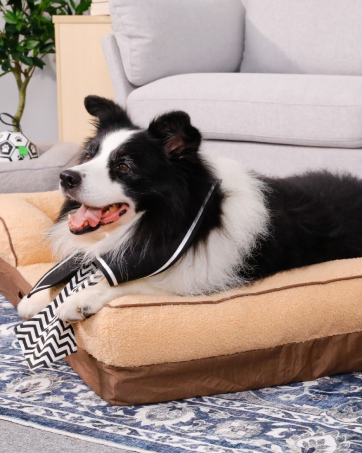 Dog Bed
