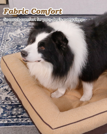 Dog Bed