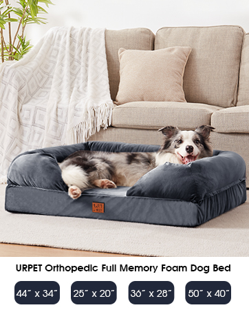 dog bed