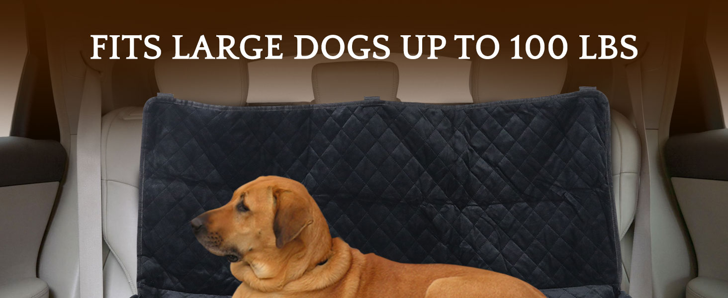 car dog seat