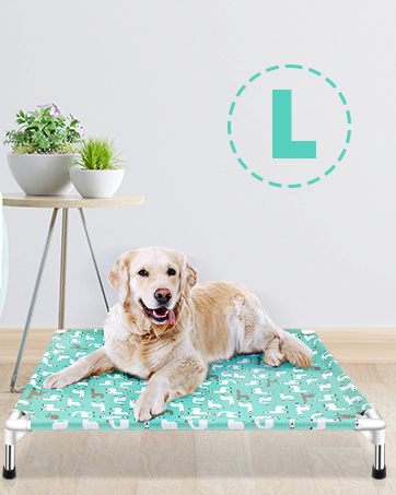 DOG BED