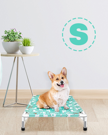 DOG BED